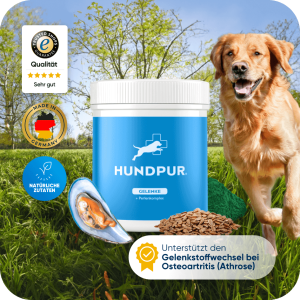 Hundpur-Gelenk-Pellets-1