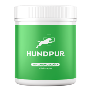 Verdauungsglück-min