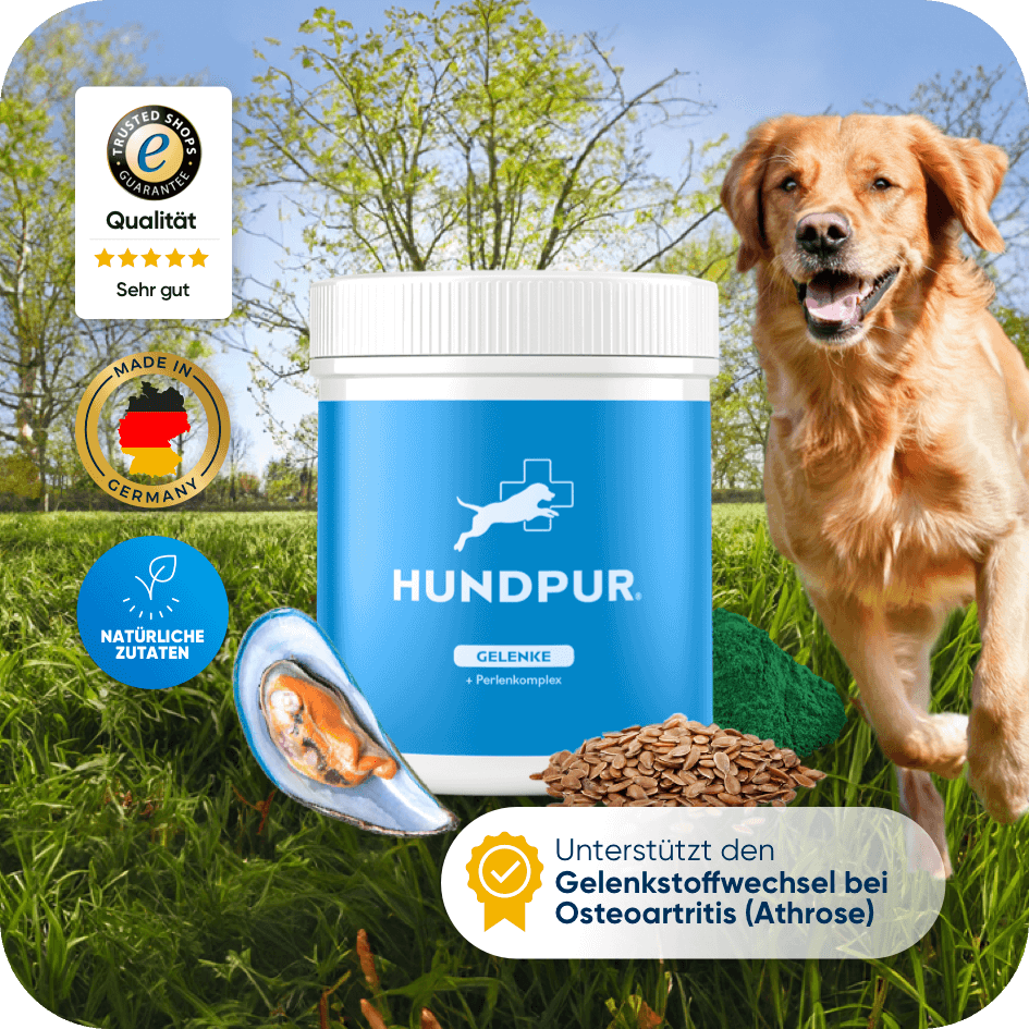 Hundpur-Gelenk-Pellets-1