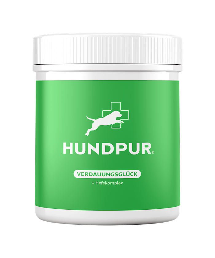 Verdauungsglück-min