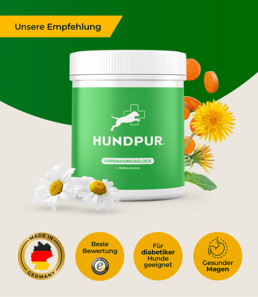 68bea1648ff464066746a7e4_HP-VG-01