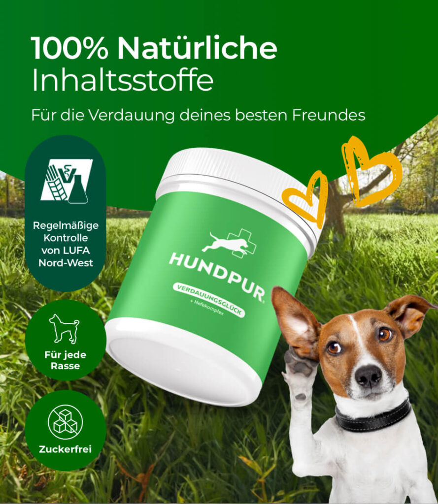 68bea1648ff464066746a7e5_HP-VG-02