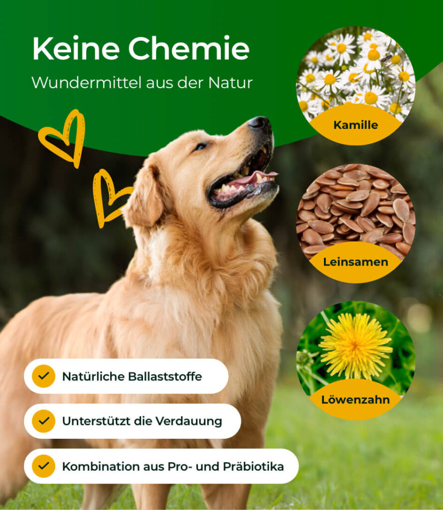 68bea1648ff464066746a7e6_HP-VG-03