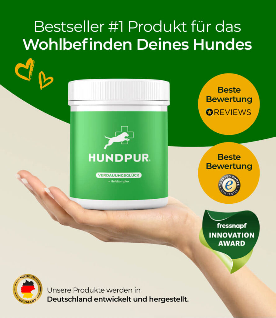 68bea1648ff464066746a7e7_HP-VG-04