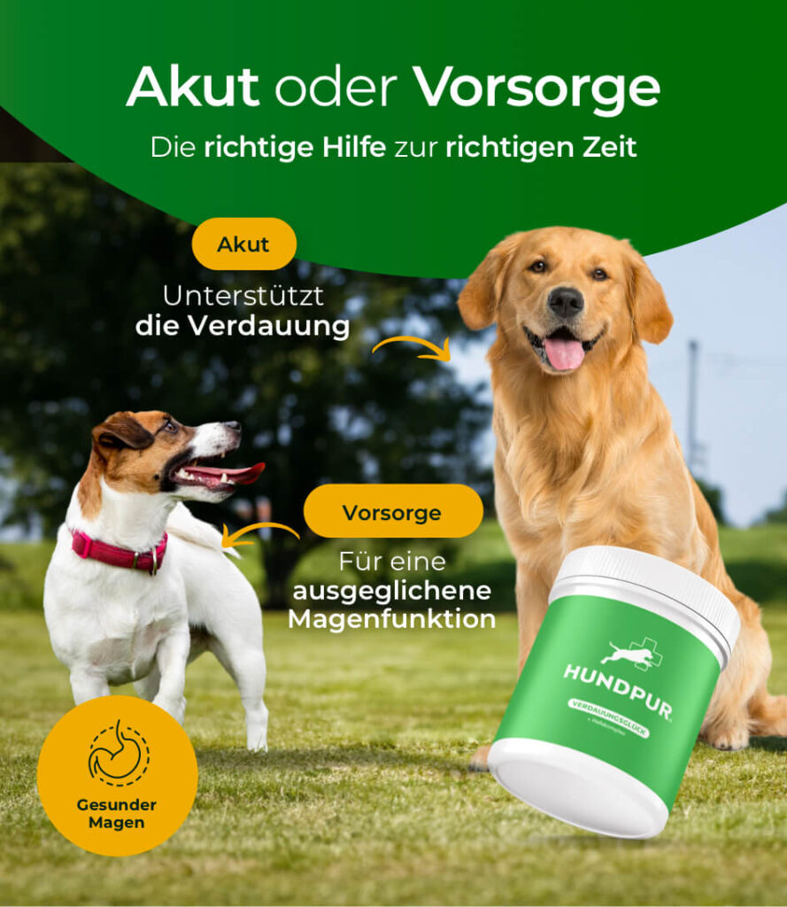 68bea1648ff464066746a7e8_HP-VG-05