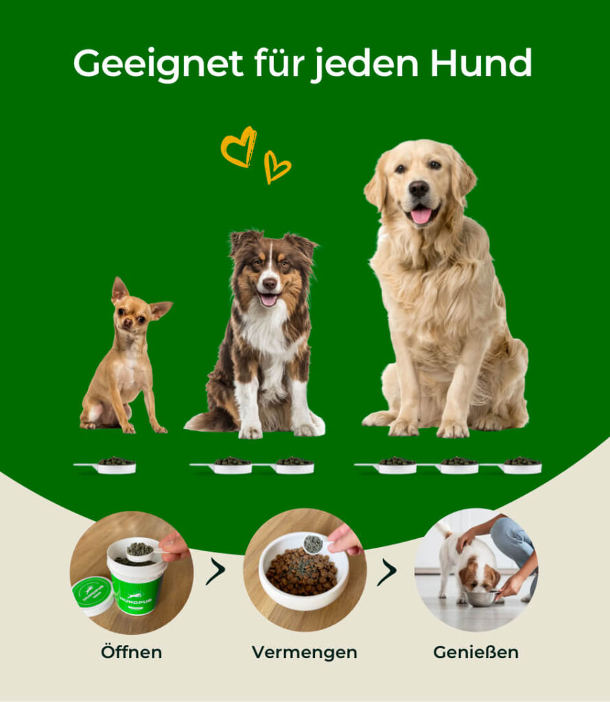 68bea1648ff464066746a7e9_HP-VG-07