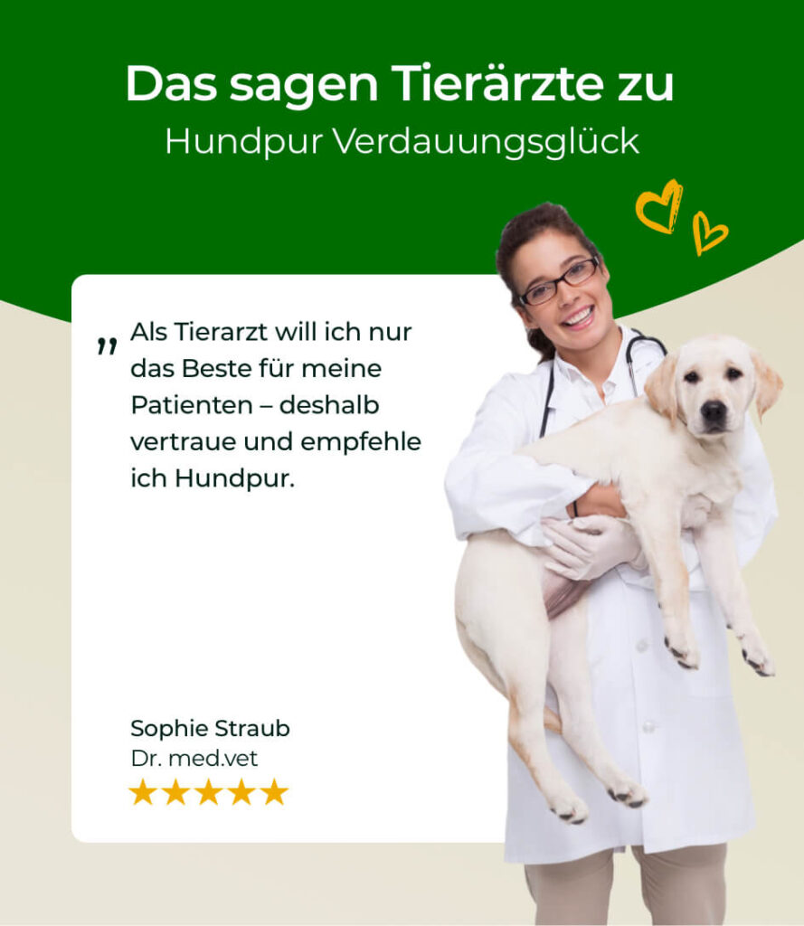 68bea1648ff464066746a7eb_HP-VG-08