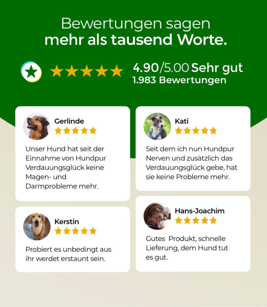 68bea1648ff464066746a7ec_HP-VG-09