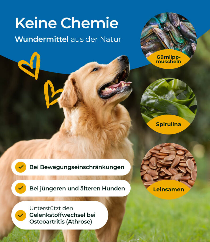 68eb9f48fa7494900d712193_HP-GE-03