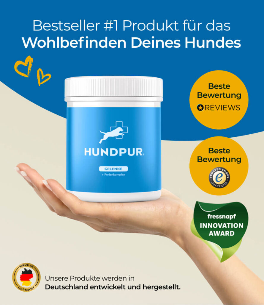 68eb9f48fa7494900d71219a_HP-GE-04