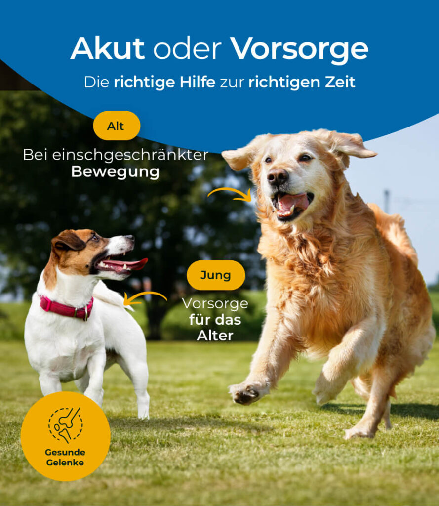 68eb9f48fa7494900d7121a1_HP-GE-05