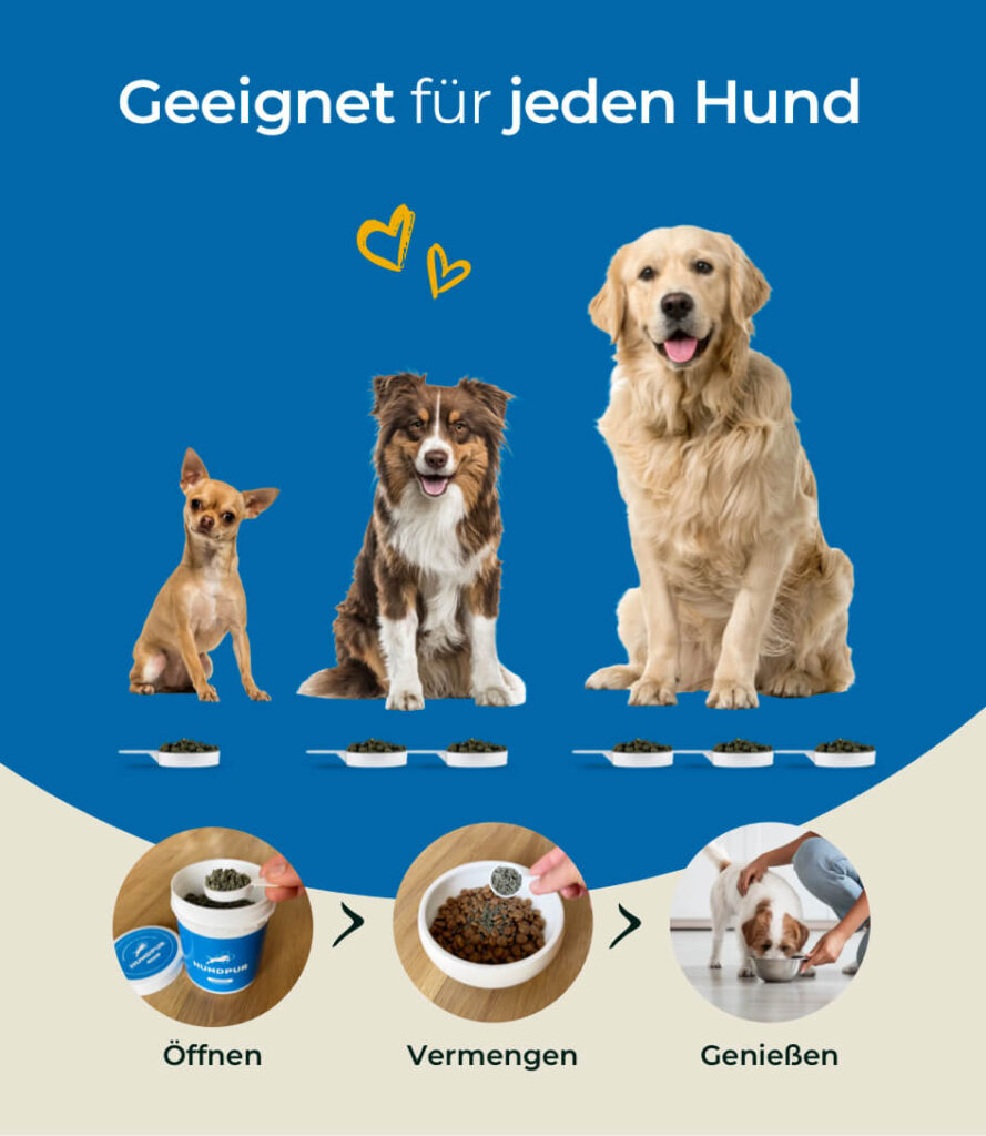 68eb9f48fa7494900d7121a8_HP-GE-06 Copy