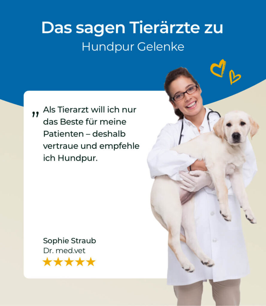 68eb9f48fa7494900d7121af_HP-GE-08