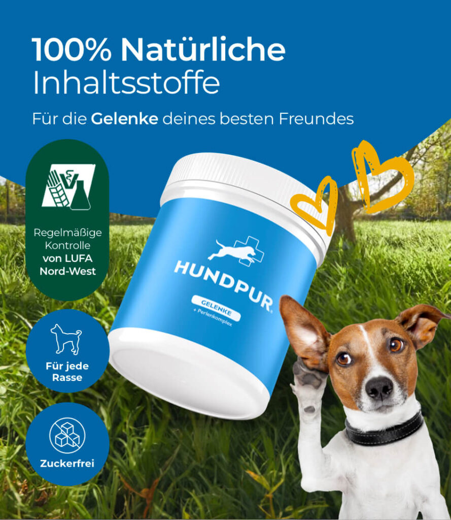 68eb9f48fa7494900d7121bd_HP-GE-02